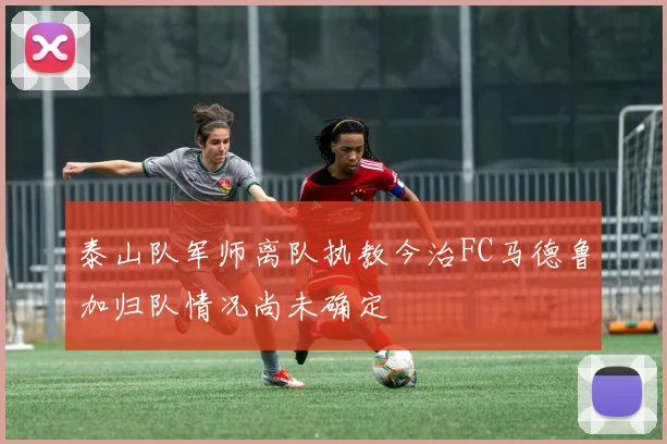 泰山队军师离队执教今治FC马德鲁加归队情况尚未确定