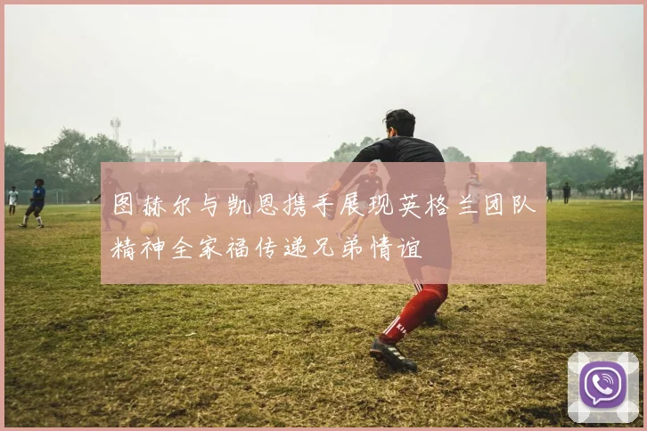图赫尔与凯恩携手展现英格兰团队精神全家福传递兄弟情谊