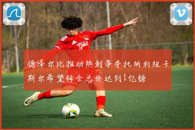 德泽尔比推动热刺争夺托纳利纽卡斯尔希望转会总价达到1亿镑